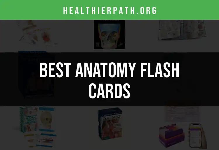 14 Essential Anatomy Flash Cards for Quick Learning