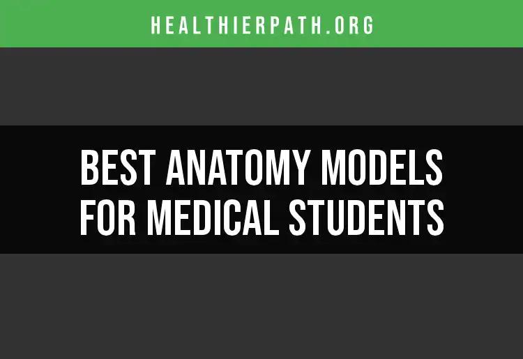 Top 10 Anatomy Models for Medical Students Unveiled