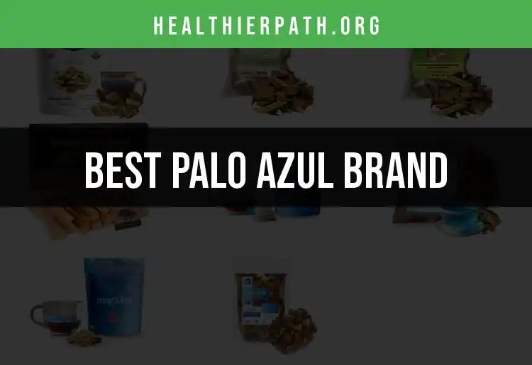 Top 10 Palo Azul Brand Picks for Health Care Services